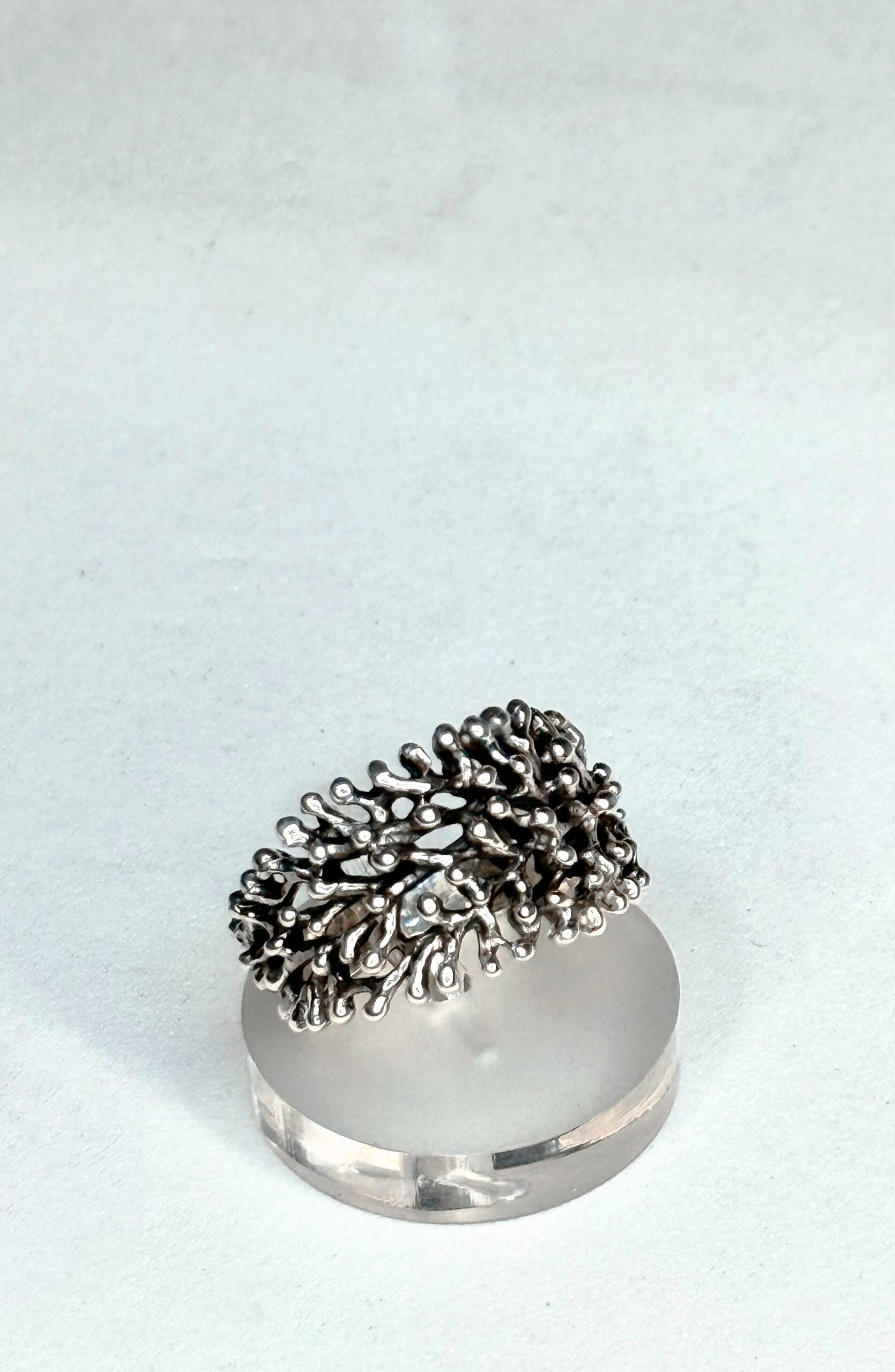 Anello Ramo di corallo