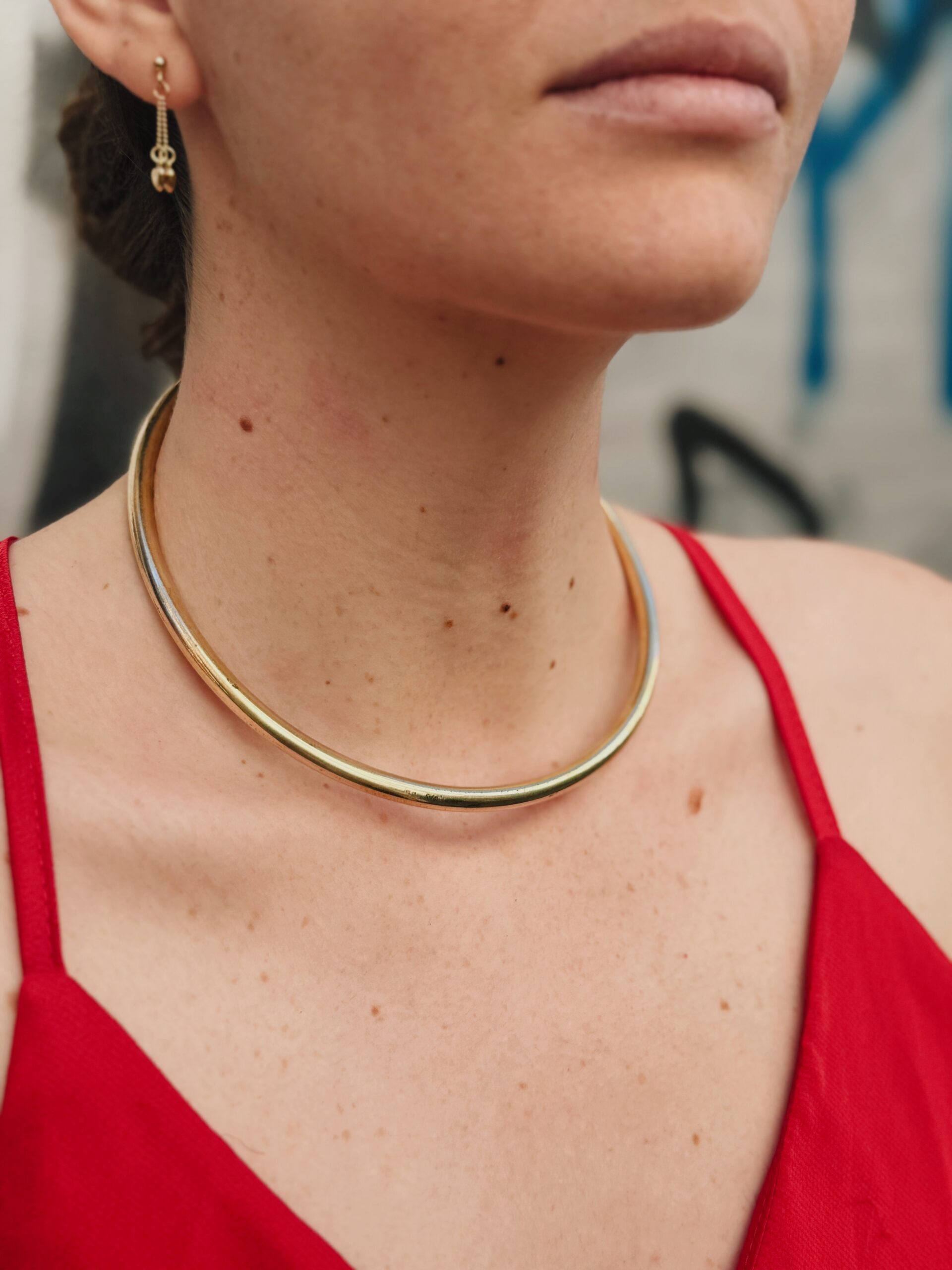 Collare classico - immagine 2